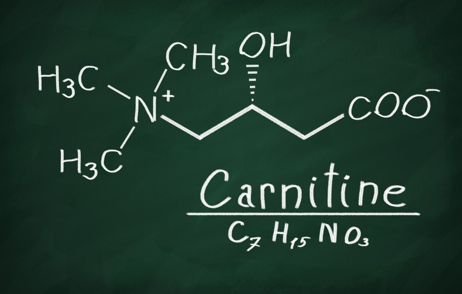 L-Carnitin-Supplementation